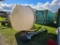 Plastic Feed Bin w/Auger