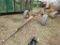 Knowles TB1050 Tandem Running Gear