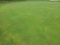 Turf Off The Green 15
