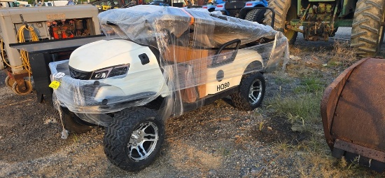 New HQ80 2-Seater Golf Cart