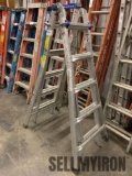 (1) 21ft Extension Folding Ladder