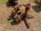 Transmission Jack Trencher (parts)