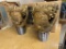 (2) Unused 6-1/4in Smith Gruner OFM Milled Tooth Tricone Rock Drill Bit
