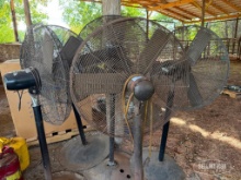 Qty Pedestal Fans [YARD 1]