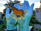 Monarch Butterfly - Metamorphosis of Life