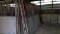 5-  10' Metal Horse Stall Panel By The Lot