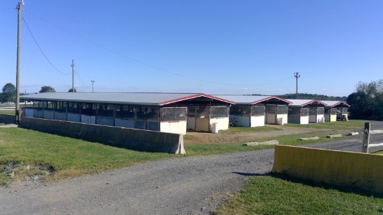 30'x 100' 12 Stall (10'x10' Fry Bros. Portable Stalls), W/Roof Structure, Center Isle