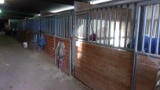 7 10'X10' W&W Horse Stalls (F14) By The Pc. X7