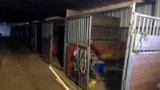 10  10'X10' W&W Horse Stalls (F16)   By The Pc X10