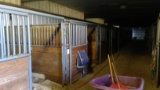 8    10'X10' W&W Horse Stalls (F17)   By The Pc X8