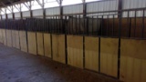 21    10'X10' Canvas Show Stalls   (F19)   By The Pc X21