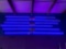 Neon Sign
