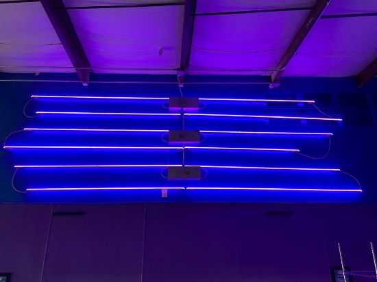 Neon Sign