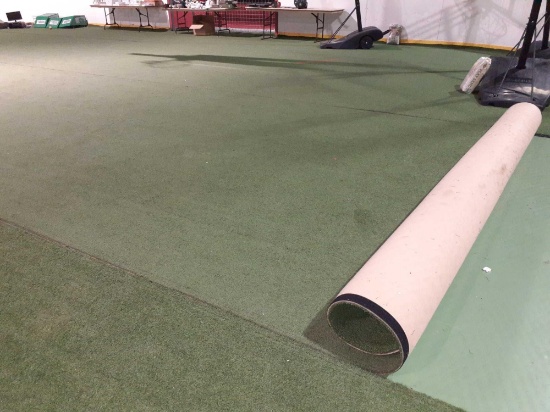 12'X60' Artificial Turf