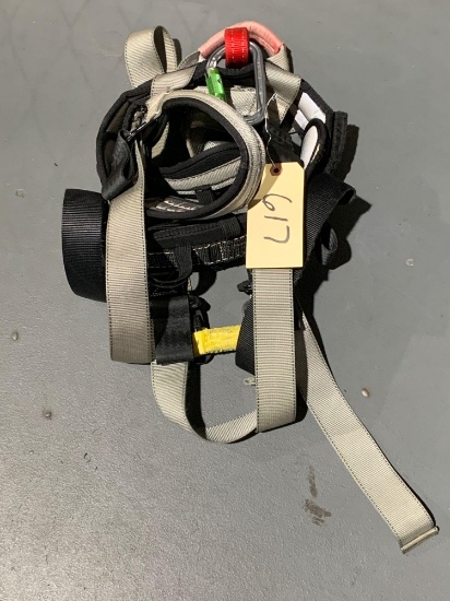 Safety Harness W/ Carabiner