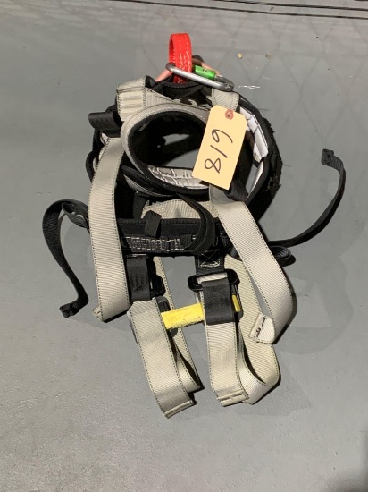 Safety Harness W/ Carabiner