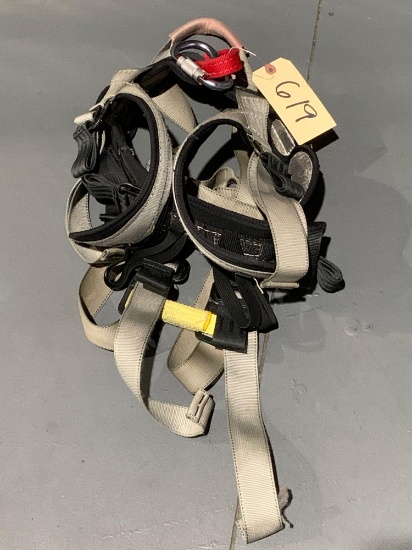 Safety Harness W/ Carabiner