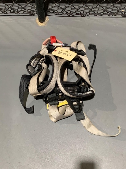 Safety Harness W/ Carabiner