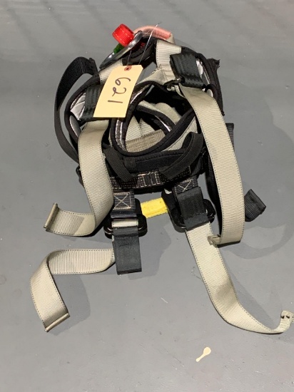 Safety Harness W/ Carabiner