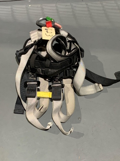 Safety Harness W/ Carabiner