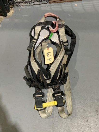 Safety Harness W/ Carabiner