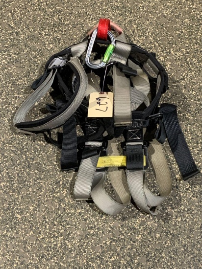 Safety Harness W/ Carabiner