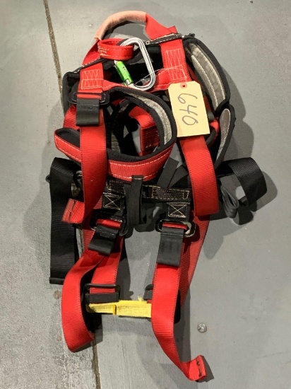 Safety Harness W/ Carabiner
