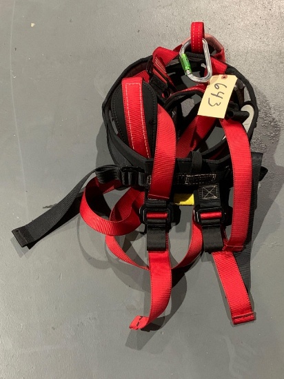 Safety Harness W/ Carabiner