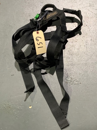 Safety Harness W/ Carabiner