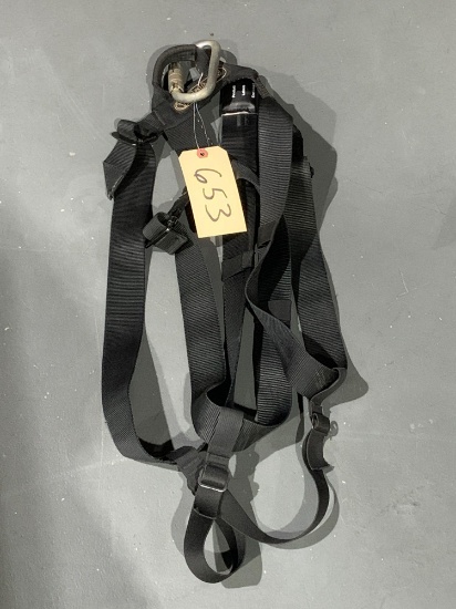 Safety Harness W/ Carabiner