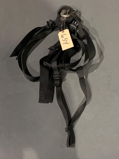 Safety Harness W/ Carabiner