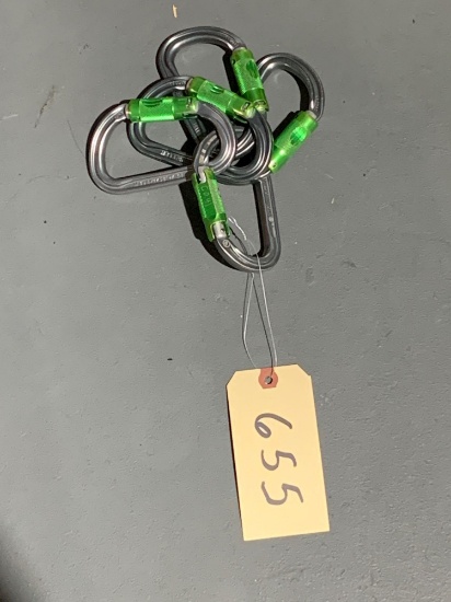 5 Carabiner Lot