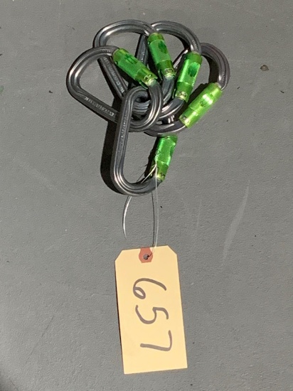 5 Carabiner Lot