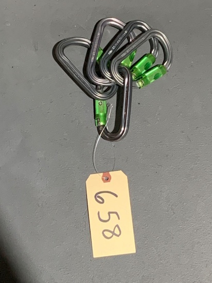 5 Carabiner Lot