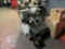 Propane Powered Floor Sweeper