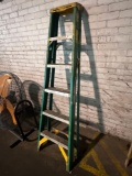 6 Foot Werner Step Ladder