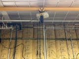 1 Ton hoist