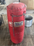 Weighted Punching Bag