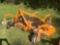 3 Pt. RD 990 8? Woods Finishing Mower