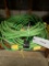 3 - 50' Extension Cords - By The Pc X3