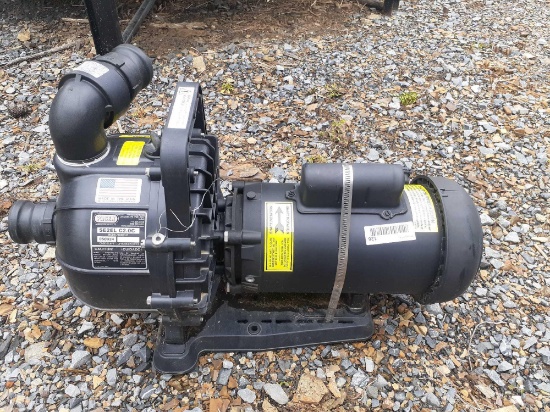 Pacer transport pump