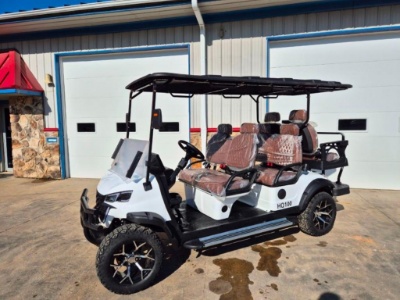 Off-Road Electric Golf Cart - Brand New!