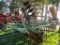 JD 230 20' DISC