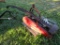 IH 1300 SICKLE BAR MOWER