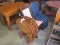 2 CHAIRS AND 4 TV TRAYS AND HOLDER
