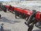 IH 183 6x CULTIVATOR