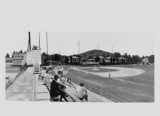 Photograph - Vintage - Painting; John Hull - Baseball 2