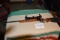 Sturm Ruger .270 single shot, breach load w/Leupold 4-12 scope 131-45877