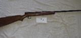 Winchester .22 semi auto M74 6821