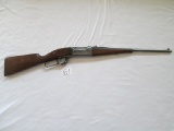 Savage Hi Power 1915 Takedown 22 lever 166562